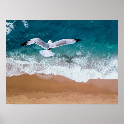 Seagull over the Sea Shore Poster