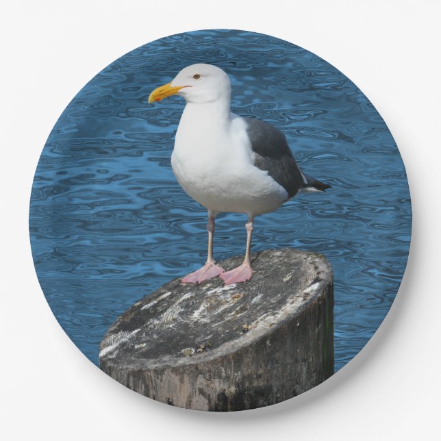 SEAGULL PAPER PLATES (Front)