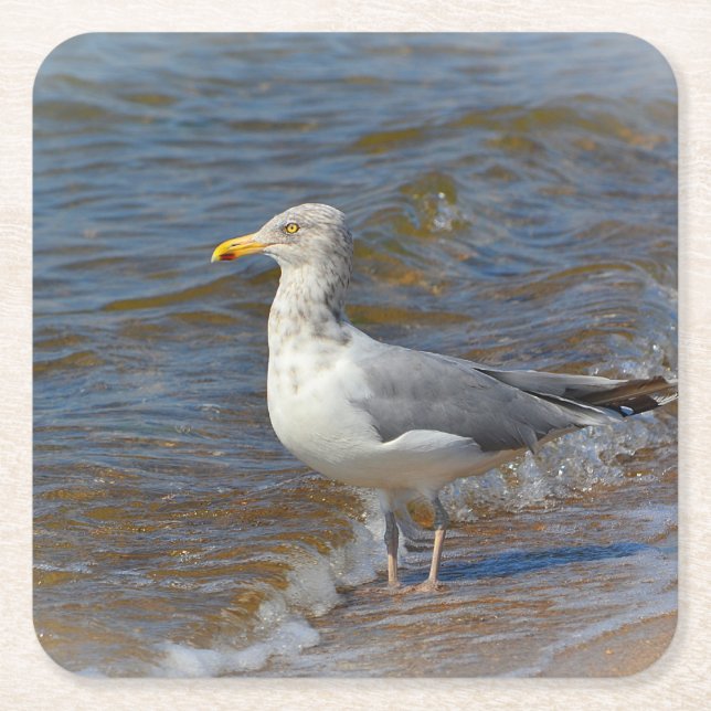 Seagull Party Coaster (Front)