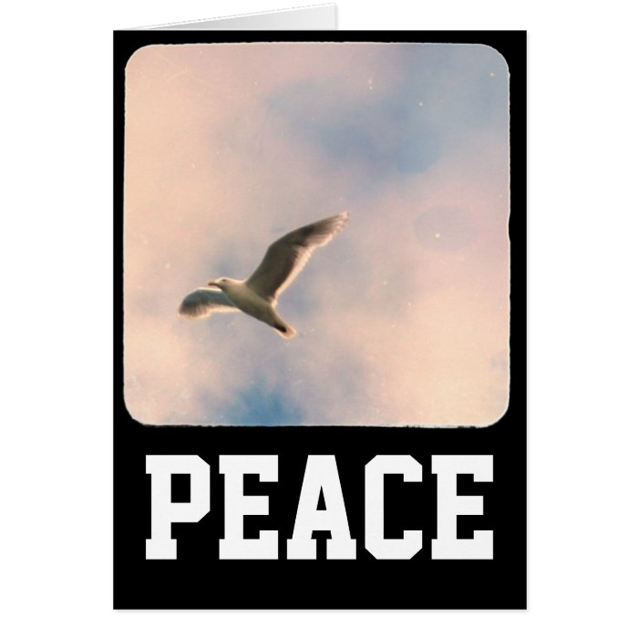 Seagull Peace Greeting Card