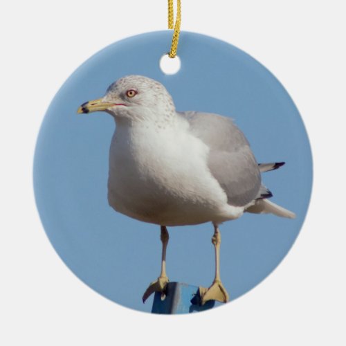 Seagull Photo Ceramic Ornament