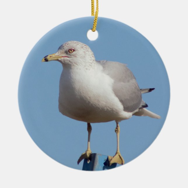 Seagull Photo Ceramic Ornament (Front)