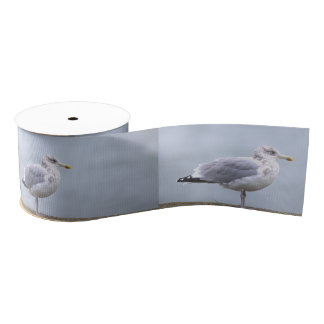 Seagull Photo Ribbon