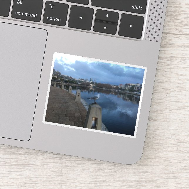 Seagull Photo Sticker (Detail)