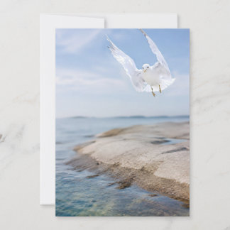 Seagull Photography Card, Coastal Nature Gift, Ins Thank You Card