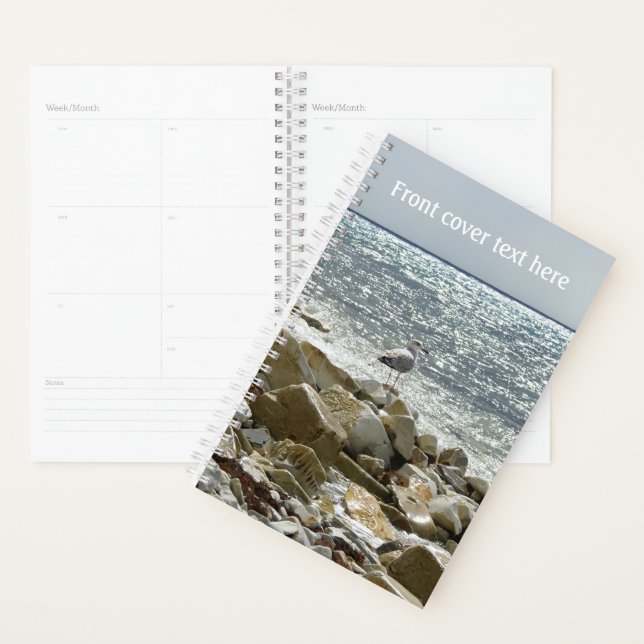 Seagull Planner (Display)