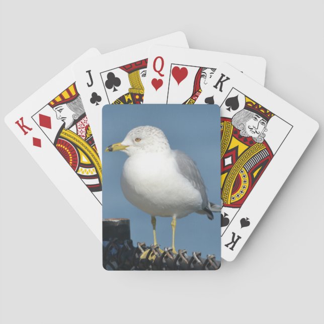 Seagull Playing Cards (Back)