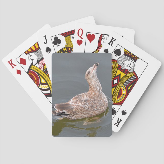 Seagull Playing Cards (Back)