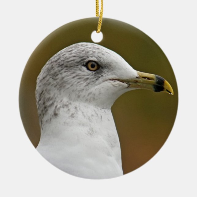 Seagull Portrait Photography With Bible Verse Ceramic Ornament (Front)