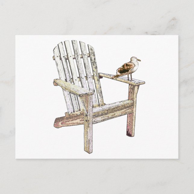 Seagull Postcard (Front)