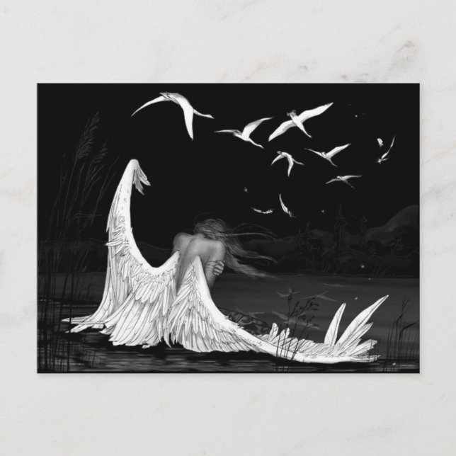 Seagull Postcard (Front)