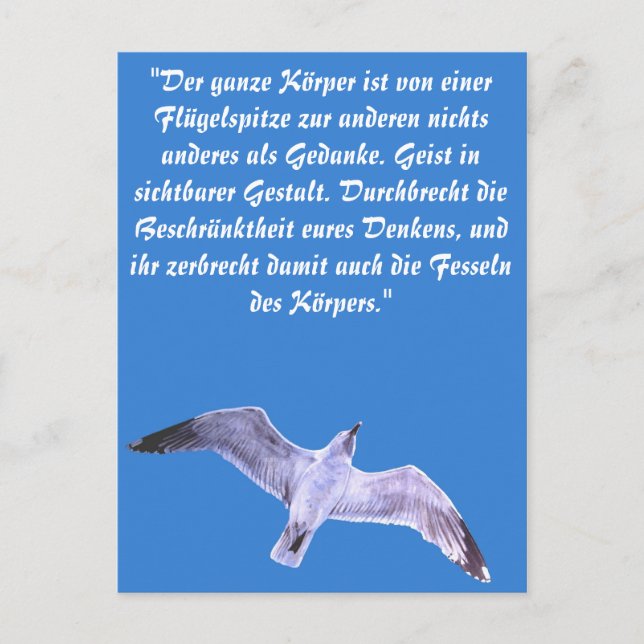 Seagull Postcard (Front)