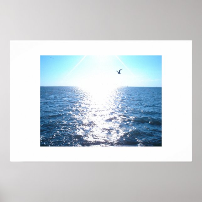 Seagull Poster (Front)