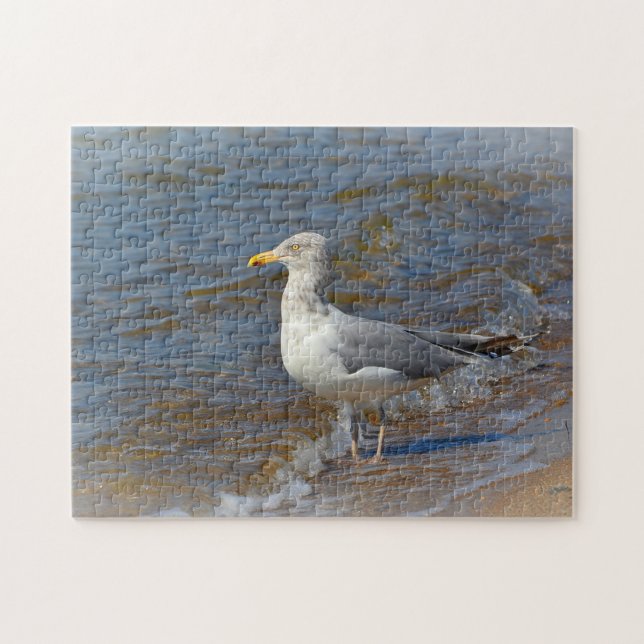Seagull Puzzle (Horizontal)