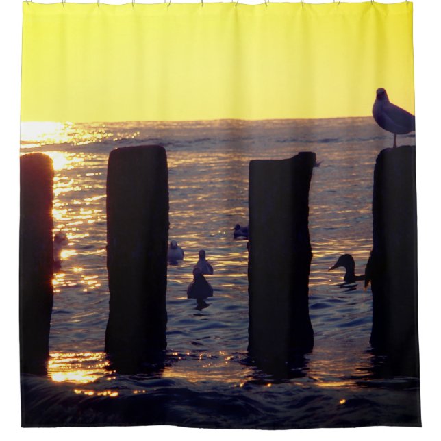 Seagull Shower Curtain (Front)