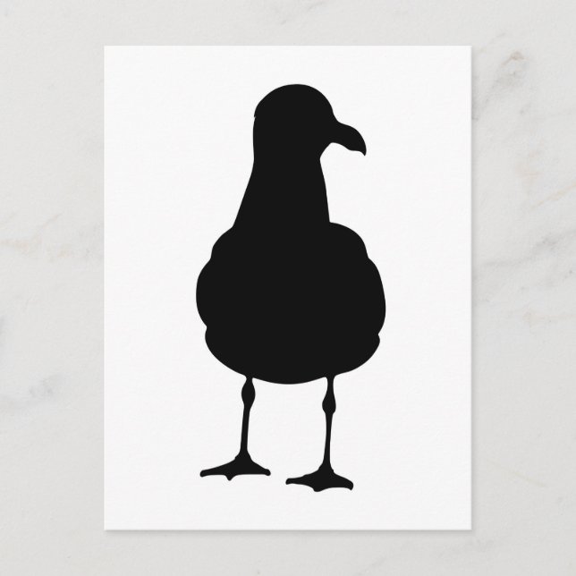 Seagull Silhouette Postcard (Front)