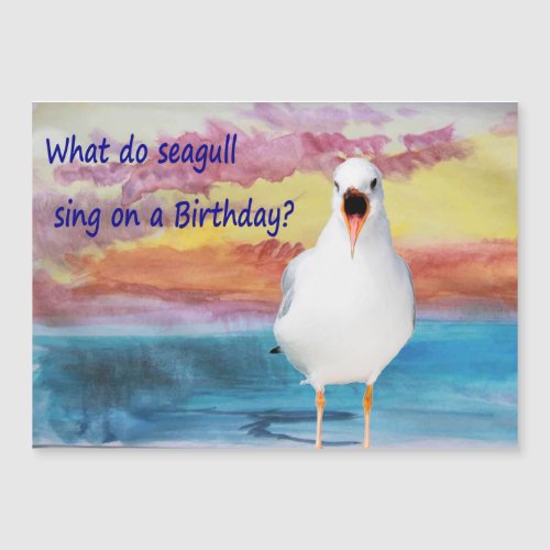 seagull sing Happy Birthday 