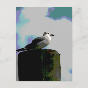 Seagull sitting on a dock posterized photograph postcard