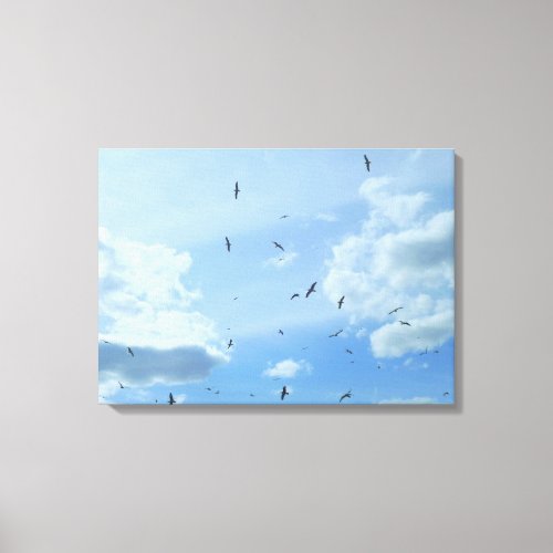 Seagull Sky Canvas Print