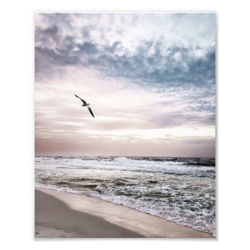 Seagull Soaring over the Beach Seashore Sunrise Photo Print