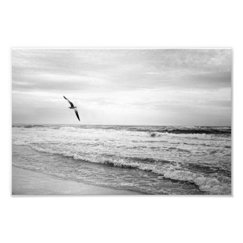 Seagull Soaring Over The Ocean Black and White  Photo Print