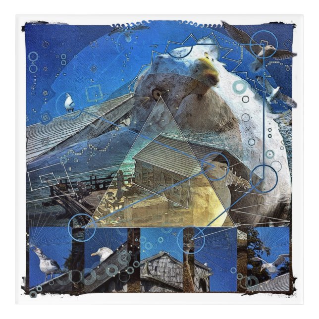 Seagull Song Acrylic Print (Front)