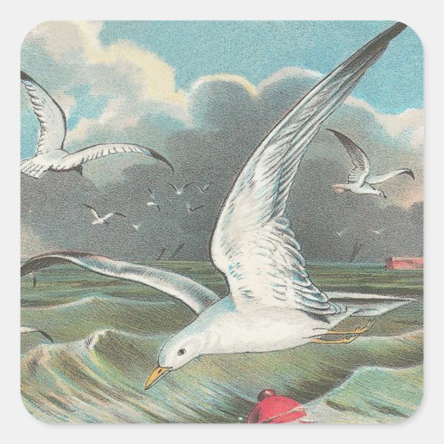 Seagull Square Sticker (Front)