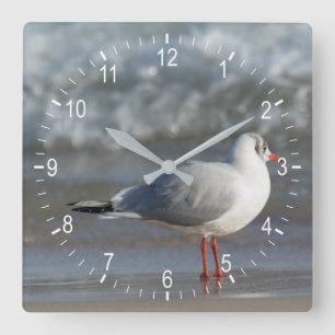Seagull Square Wall Clock