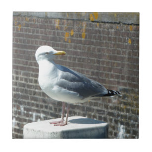 pillar decorative ceramic tiles zazzle pillar decorative ceramic tiles zazzle