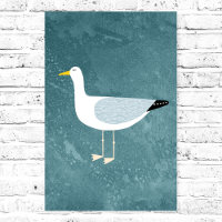 Seagull Standing