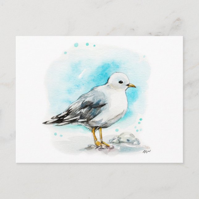 Seagull Study 1 Postcard (Front)