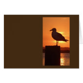 Seagull Sunset (Front Horizontal)