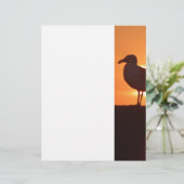 Seagull Sunset (Standing Front)