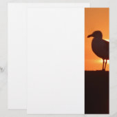 Seagull Sunset (Front/Back)