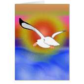 Seagull & Sunset (Front)