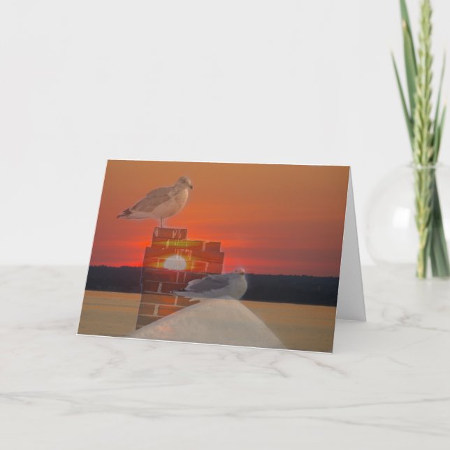 Seagull Sunset Card (Front)