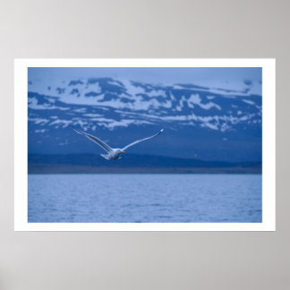 Seagull The Norwegian Flight To Freedom Poster