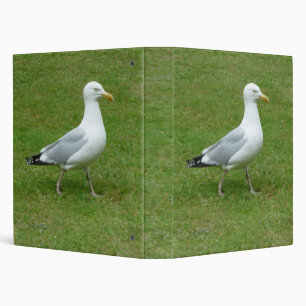 Seagull walking in the Park (1.0in) 3 Ring Binder