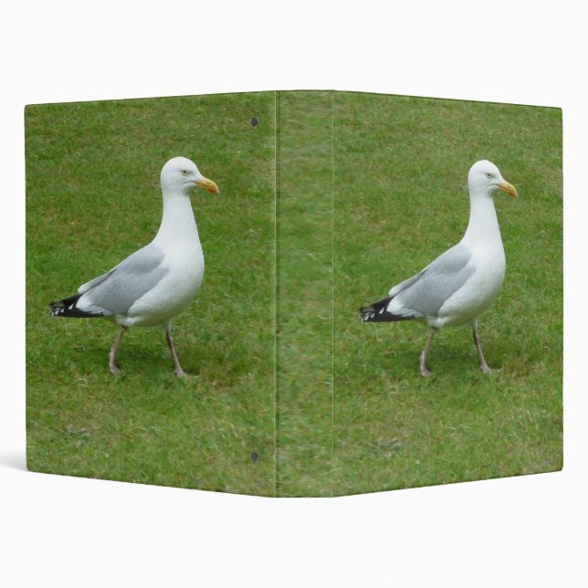 Seagull walking in the Park (1.0in) 3 Ring Binder (Background)