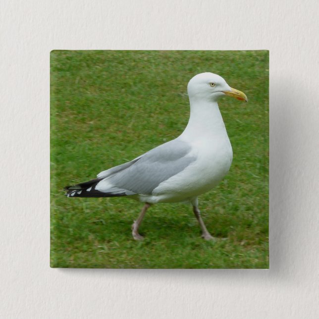 Seagull walking in the Park Button (Front)