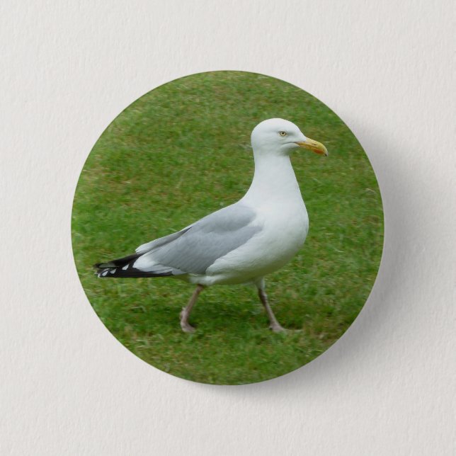 Seagull walking in the Park Button (Front)
