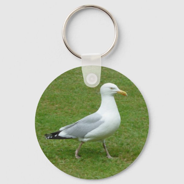 Seagull walking in the Park Keychain (Front)