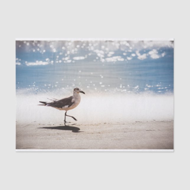 Seagull Walking on Virginia Beach Tissue Paper (Front)
