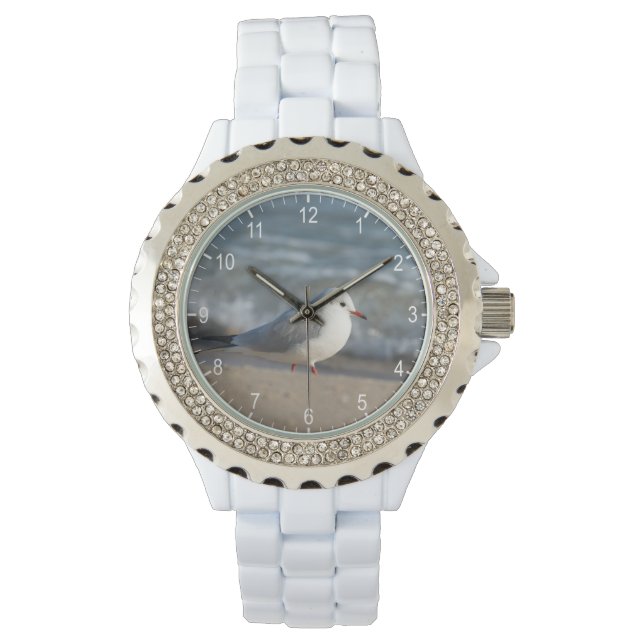 Seagull Watch (Front)