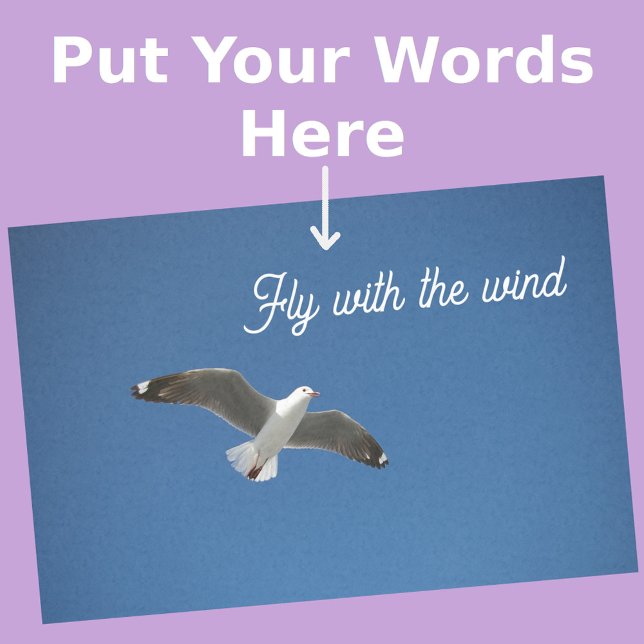 Seagull White Gray Blue Inspiration Photo Tissue Paper (Front View)