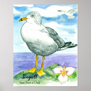 Seagull White Ocean Bird Watercolor Lake Poster