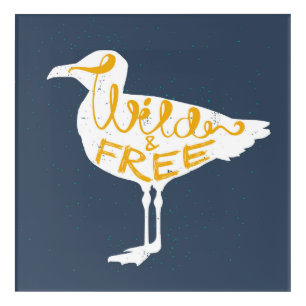 Seagull   Wild And Free Acrylic Print