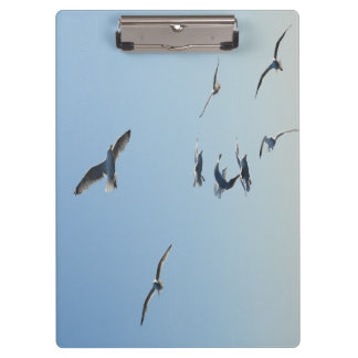 Seagull Wildlife Coastal Design for Field Notes Clipboard