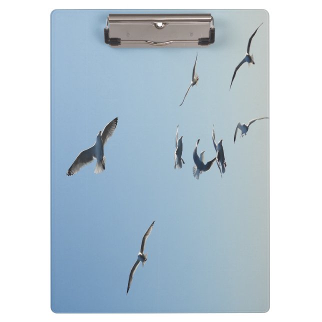 Seagull Wildlife Coastal Design for Field Notes Clipboard (Front)