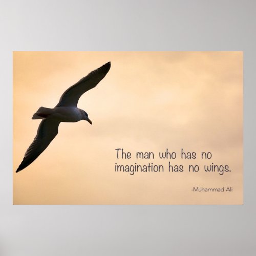 Seagull with Mohammad Ali Quote Poster